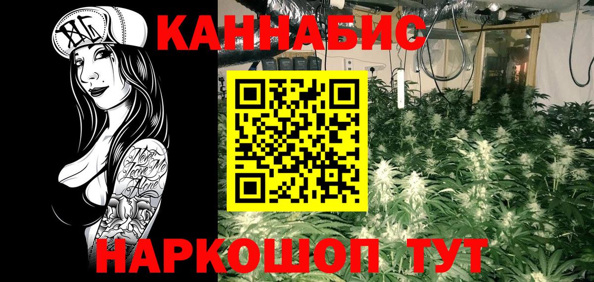 Каннабис план  Конопля White Widow  Конопля конопля  Вход с VPN  Рязань  Бошки марихуана индика 